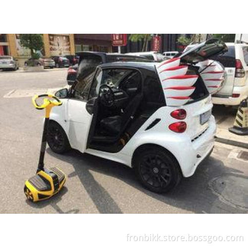 Lovely Wings for Smart Car Decoration ABS Made Auto Refitti